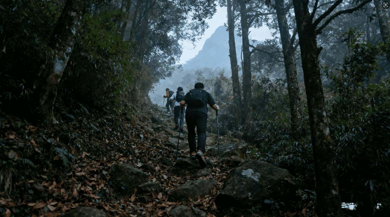 心易加速器VPN详细使用教程与优势分析